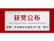  红外图像处理芯片获年度“年度最佳市场活力 ·产品奖”